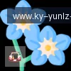 开云APP logo