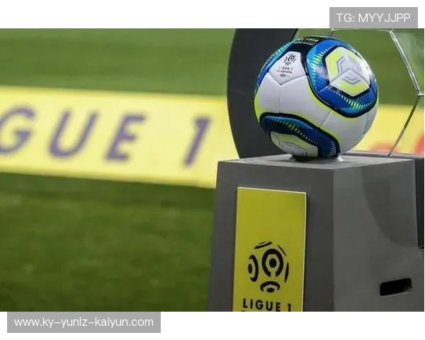 法甲球队财务状况对竞技水平的影响力评估